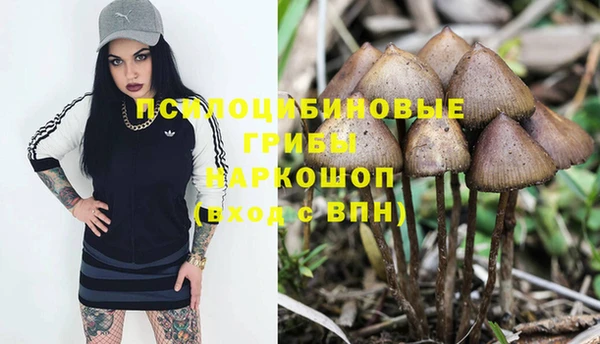 молекула духа Аркадак
